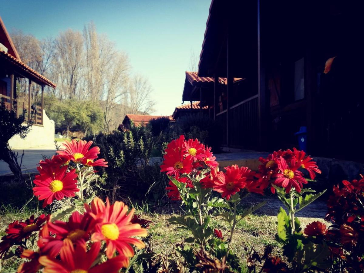 El Venero De Mostoles Constantina Eksteriør bilde